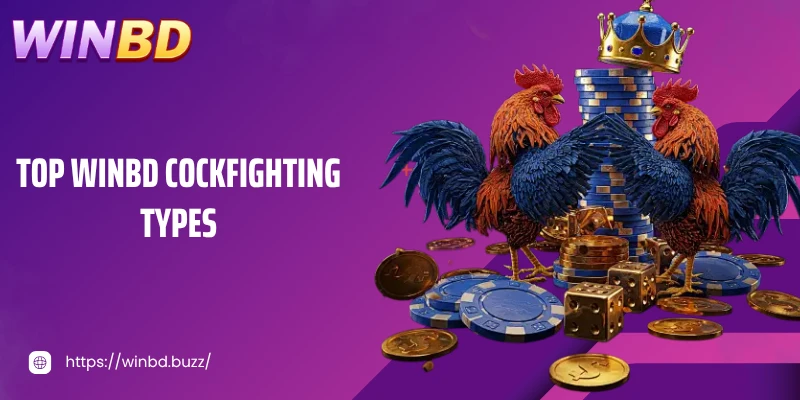 Top Sabong WINBD types