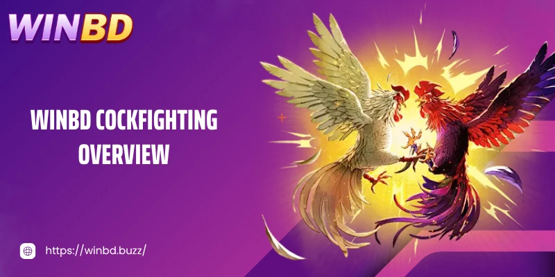 Sabong WINBD overview