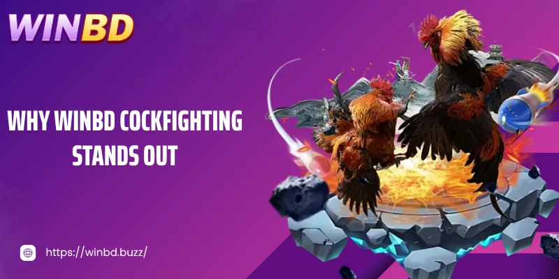 Why Sabong WINBD stands out